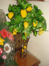 2 pcs/bag mango seeds,mini mango tree seeds,bonsai tree seed,Organic heirloom fruit seeds,pot plant for home garden