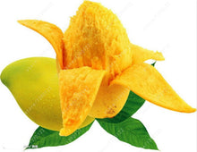 2 pcs/bag mango seeds,mini mango tree seeds,bonsai tree seed,Organic heirloom fruit seeds,pot plant for home garden