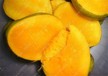 2 pcs/bag mango seeds,mini mango tree seeds,bonsai tree seed,Organic heirloom fruit seeds,pot plant for home garden