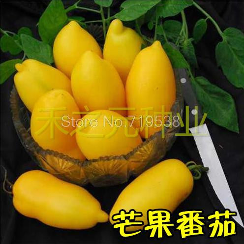 Mango fruit seeds potted tomato seeds tomato fruit taste super good 100 seeds