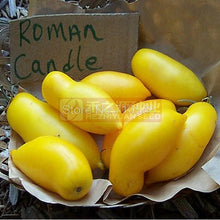 Mango fruit seeds potted tomato seeds tomato fruit taste super good 100 seeds