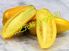 Mango fruit seeds potted tomato seeds tomato fruit taste super good 100 seeds